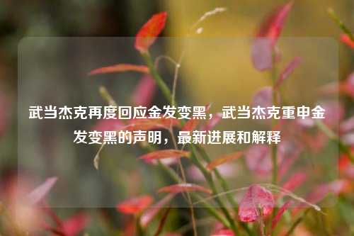 武当杰克再度回应金发变黑，武当杰克重申金发变黑的声明，最新进展和解释