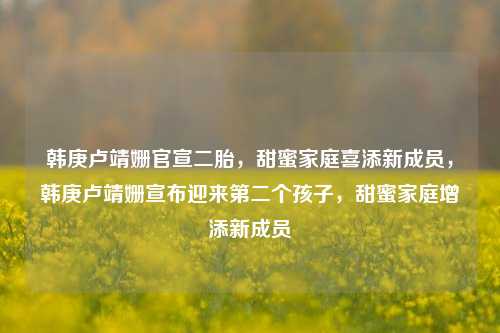 韩庚卢靖姗官宣二胎，甜蜜家庭喜添新成员，韩庚卢靖姗宣布迎来第二个孩子，甜蜜家庭增添新成员