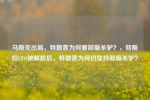 马斯克出局，特朗普为何要卸磨杀驴？，特斯拉CEO被解职后，特朗普为何仍坚持卸磨杀驴？
