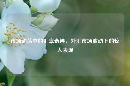 市场动荡中的汇率奇迹，外汇市场波动下的惊人表现