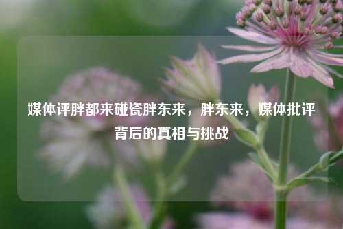 媒体评胖都来碰瓷胖东来，胖东来，媒体批评背后的真相与挑战