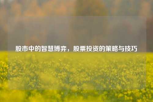 股市中的智慧博弈，股票投资的策略与技巧