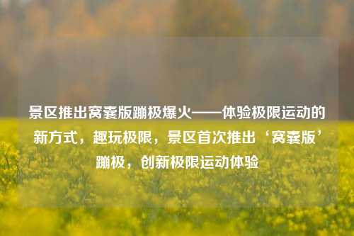景区推出窝囊版蹦极爆火——体验极限运动的新方式，趣玩极限，景区首次推出‘窝囊版’蹦极，创新极限运动体验