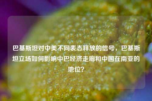 巴基斯坦对中美不同表态释放的信号，巴基斯坦立场如何影响中巴经济走廊和中国在南亚的地位？