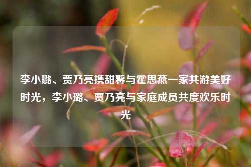 李小璐、贾乃亮携甜馨与霍思燕一家共游美好时光，李小璐、贾乃亮与家庭成员共度欢乐时光