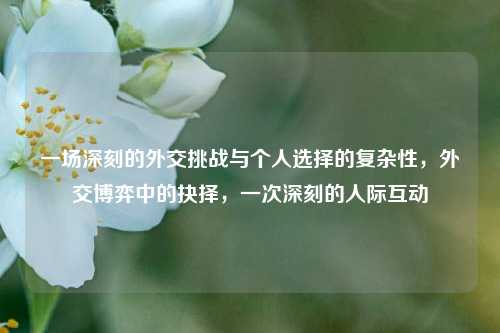 一场深刻的外交挑战与个人选择的复杂性，外交博弈中的抉择，一次深刻的人际互动