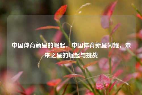 中国体育新星的崛起，中国体育新星闪耀，未来之星的崛起与挑战