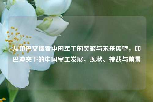 从印巴交锋看中国军工的突破与未来展望，印巴冲突下的中国军工发展，现状、挑战与前景