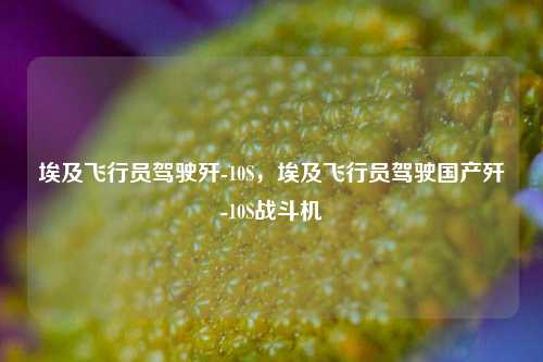 埃及飞行员驾驶歼-10S，埃及飞行员驾驶国产歼-10S战斗机