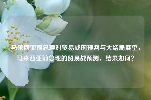 马来西亚前总理对贸易战的预判与大结局展望，马来西亚前总理的贸易战预测，结果如何？