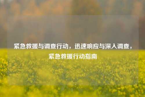 紧急救援与调查行动，迅速响应与深入调查，紧急救援行动指南