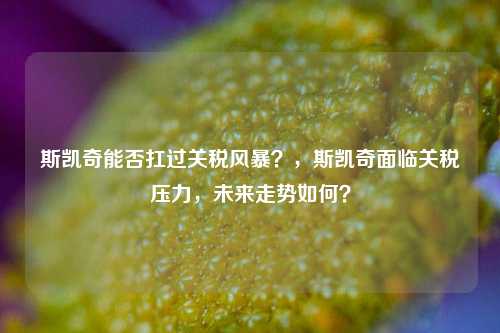 斯凯奇能否扛过关税风暴？，斯凯奇面临关税压力，未来走势如何？