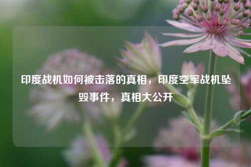 印度战机如何被击落的真相，印度空军战机坠毁事件，真相大公开