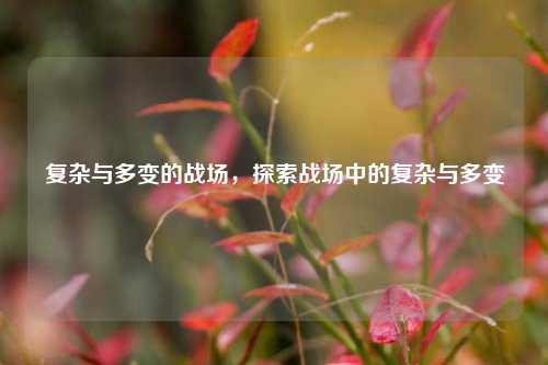 复杂与多变的战场，探索战场中的复杂与多变
