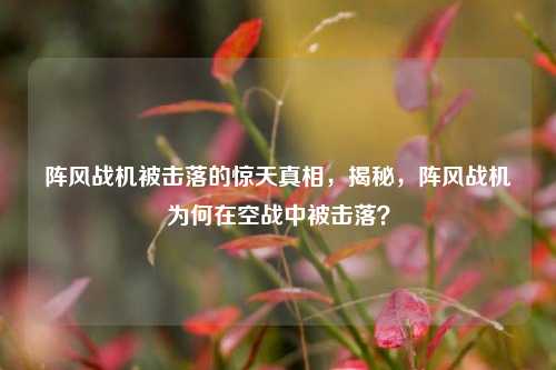 阵风战机被击落的惊天真相，揭秘，阵风战机为何在空战中被击落？