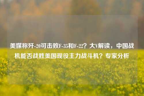 美媒称歼-20可击败F-35和F-22？大V解读，中国战机能否战胜美国现役主力战斗机？专家分析