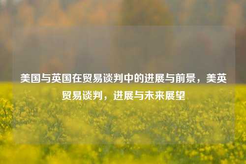 美国与英国在贸易谈判中的进展与前景，美英贸易谈判，进展与未来展望
