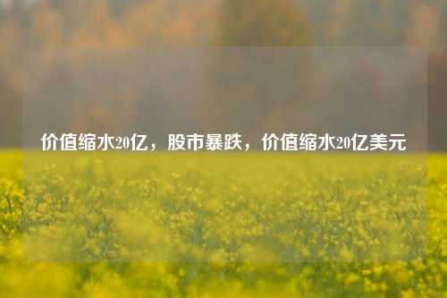 价值缩水20亿，股市暴跌，价值缩水20亿美元