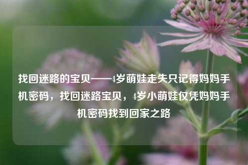 找回迷路的宝贝——4岁萌娃走失只记得妈妈手机密码，找回迷路宝贝，4岁小萌娃仅凭妈妈手机密码找到回家之路