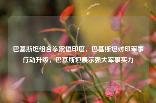 巴基斯坦组合拳震慑印度，巴基斯坦对印军事行动升级，巴基斯坦展示强大军事实力