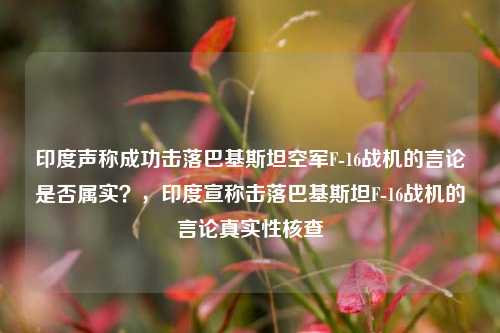 印度声称成功击落巴基斯坦空军F-16战机的言论是否属实？，印度宣称击落巴基斯坦F-16战机的言论真实性核查