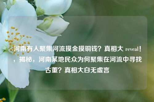 河南有人聚集河流摸金摸铜钱？真相大 reveal！，揭秘，河南某地民众为何聚集在河流中寻找古董？真相大白无虚言