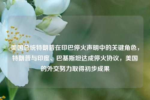 美国总统特朗普在印巴停火声明中的关键角色，特朗普与印度、巴基斯坦达成停火协议，美国的外交努力取得初步成果