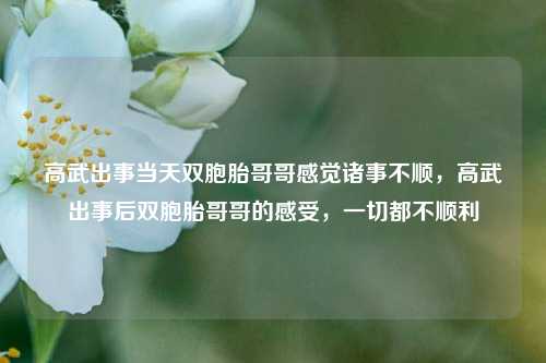 高武出事当天双胞胎哥哥感觉诸事不顺，高武出事后双胞胎哥哥的感受，一切都不顺利