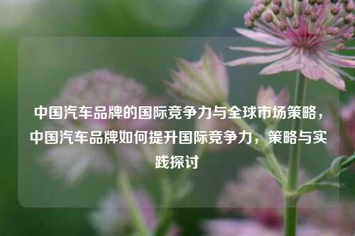 中国汽车品牌的国际竞争力与全球市场策略，中国汽车品牌如何提升国际竞争力，策略与实践探讨