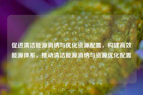促进清洁能源消纳与优化资源配置，构建高效能源体系，推动清洁能源消纳与资源优化配置