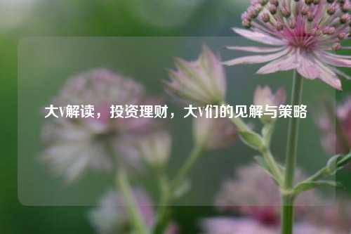 大V解读，投资理财，大V们的见解与策略