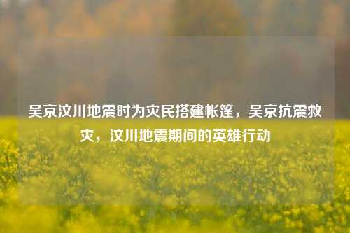 吴京汶川地震时为灾民搭建帐篷，吴京抗震救灾，汶川地震期间的英雄行动