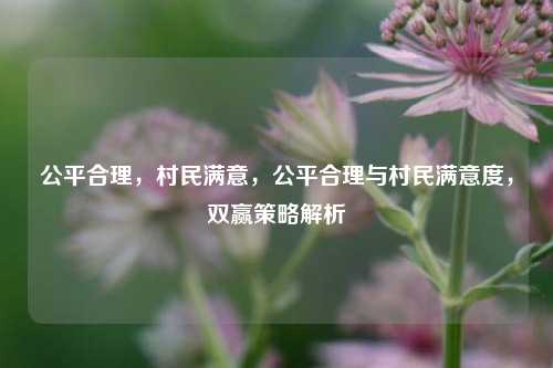 公平合理，村民满意，公平合理与村民满意度，双赢策略解析