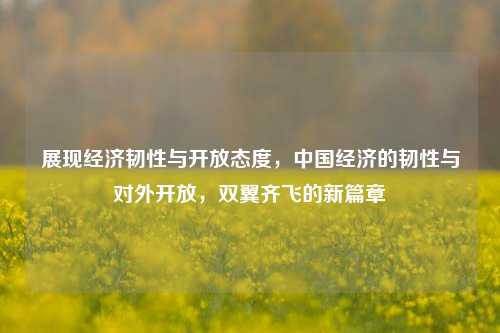 展现经济韧性与开放态度，中国经济的韧性与对外开放，双翼齐飞的新篇章