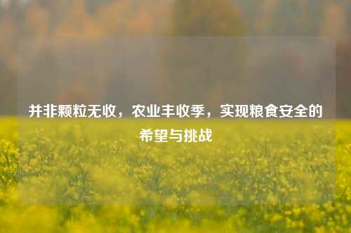 并非颗粒无收，农业丰收季，实现粮食安全的希望与挑战