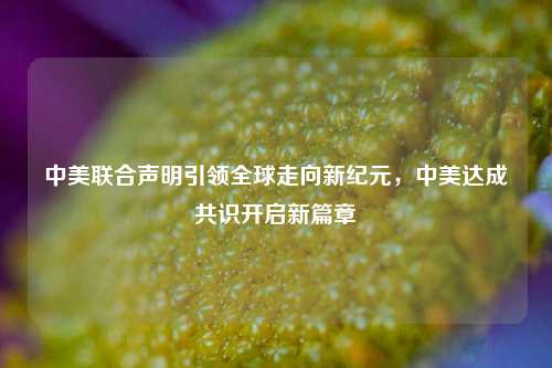 中美联合声明引领全球走向新纪元，中美达成共识开启新篇章