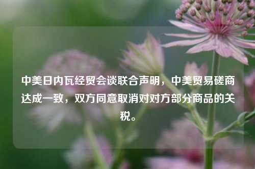 中美日内瓦经贸会谈联合声明，中美贸易磋商达成一致，双方同意取消对对方部分商品的关税。