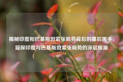 揭秘印度和巴基斯坦紧张局势背后的幕后黑手，窥探印度与巴基斯坦紧张局势的深层根源