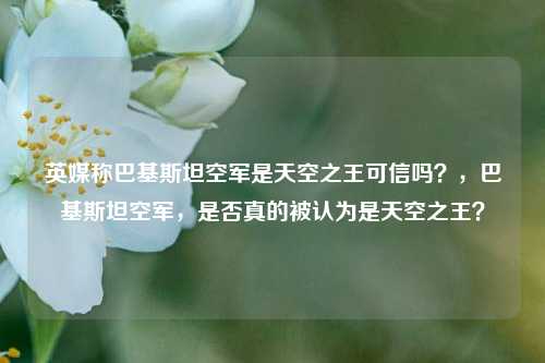 英媒称巴基斯坦空军是天空之王可信吗？，巴基斯坦空军，是否真的被认为是天空之王？