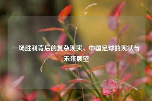 一场胜利背后的复杂现实，中国足球的现状与未来展望