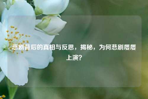 悲剧背后的真相与反思，揭秘，为何悲剧屡屡上演？