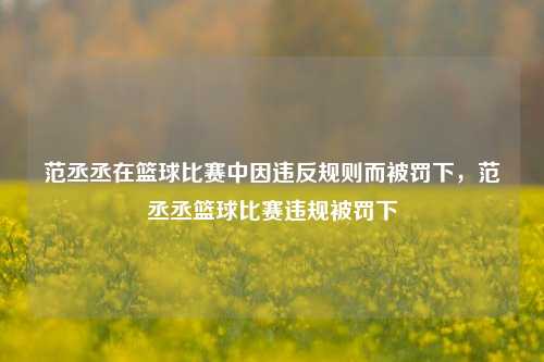 范丞丞在篮球比赛中因违反规则而被罚下，范丞丞篮球比赛违规被罚下