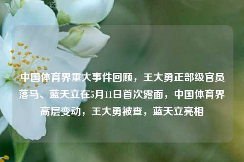 中国体育界重大事件回顾，王大勇正部级官员落马、蓝天立在5月11日首次露面，中国体育界高层变动，王大勇被查，蓝天立亮相