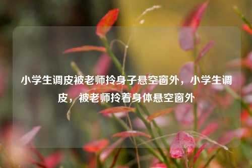小学生调皮被老师拎身子悬空窗外，小学生调皮，被老师拎着身体悬空窗外