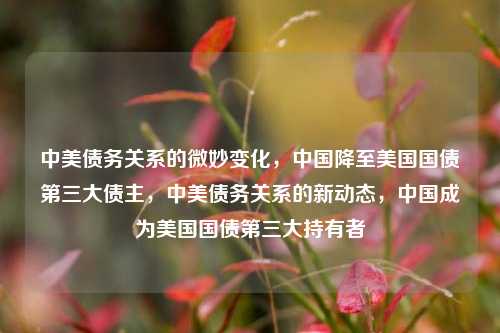 中美债务关系的微妙变化，中国降至美国国债第三大债主，中美债务关系的新动态，中国成为美国国债第三大持有者