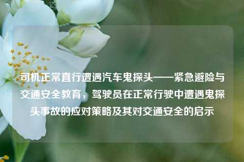 司机正常直行遭遇汽车鬼探头——紧急避险与交通安全教育，驾驶员在正常行驶中遭遇鬼探头事故的应对策略及其对交通安全的启示