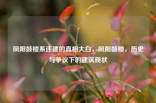 凤阳鼓楼系违建的真相大白，凤阳鼓楼，历史与争议下的建筑现状