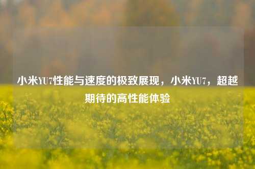 小米YU7性能与速度的极致展现，小米YU7，超越期待的高性能体验