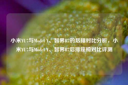 小米YU7与Model Y、智界R7的后排对比分析，小米YU7与Model Y、智界R7后排座椅对比评测