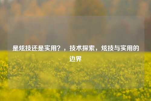 是炫技还是实用？，技术探索，炫技与实用的边界